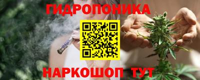 мяу мяу мука Малгобек