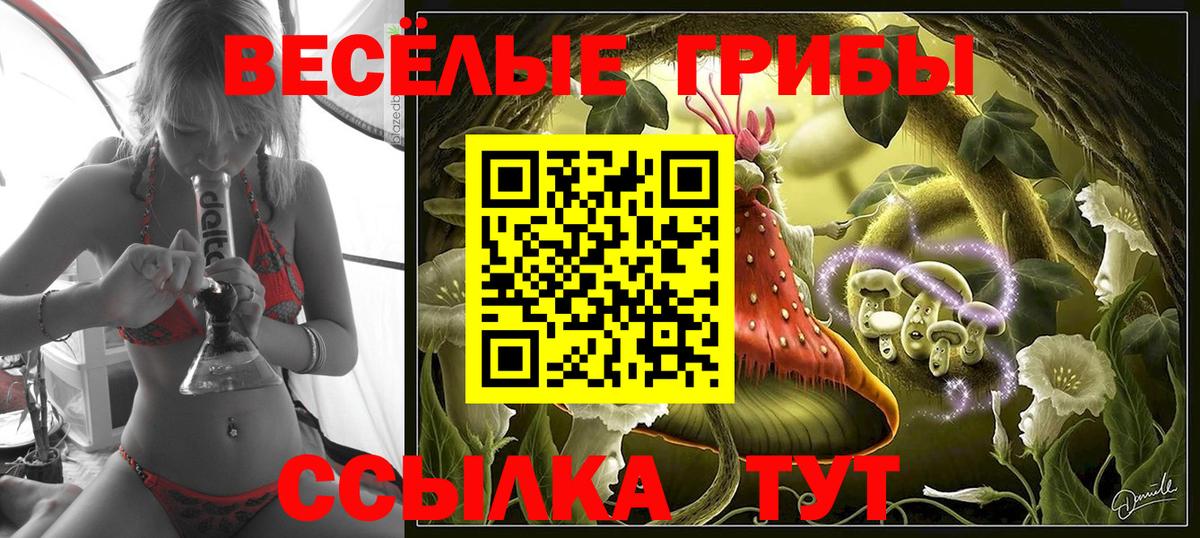 Галлюциногенные грибы мухоморы Избербаш