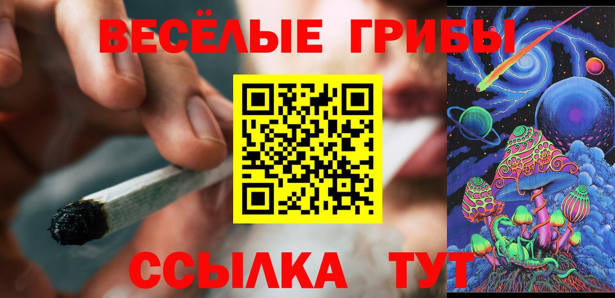 Галлюциногенные грибы Psilocybe  Псилоцибиновые грибы мицелий  Вход с VPN  Избербаш 