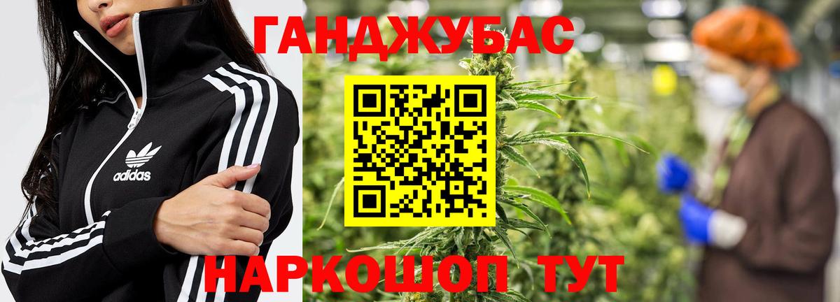 Бошки Шишки сатива  Вход с VPN  Канабис планчик  Бошки марихуана марихуана  Избербаш 